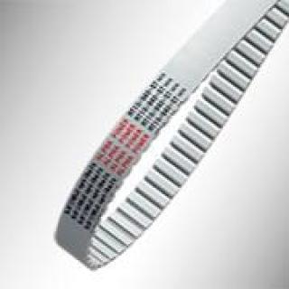 Tandriemen Metrisch Sati