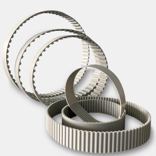 Tandriemen Metrisch