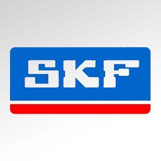 Lagers SKF