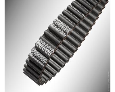 Tandriem Omega D5M dubbel vertand